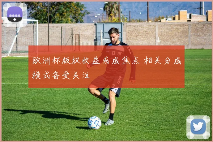 欧洲杯版权收益或成焦点 相关分成模式备受关注