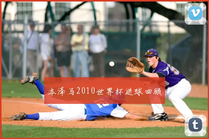 本泽马2010世界杯进球回顾