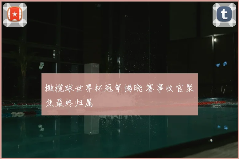 橄榄球世界杯冠军揭晓 赛事收官聚焦最终归属