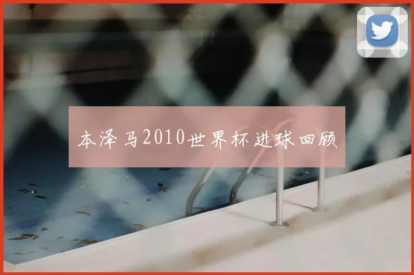 本泽马2010世界杯进球回顾