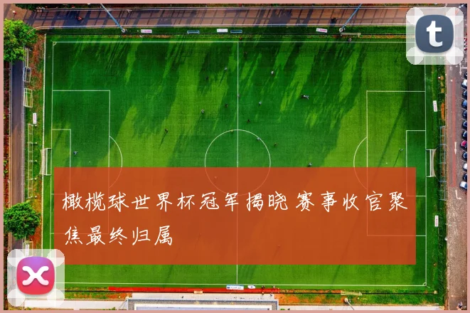 橄榄球世界杯冠军揭晓 赛事收官聚焦最终归属
