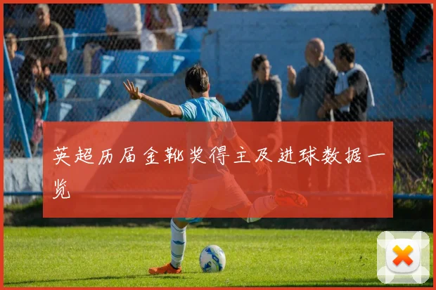 英超历届金靴奖得主及进球数据一览