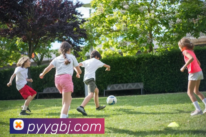 多媒体互动体验