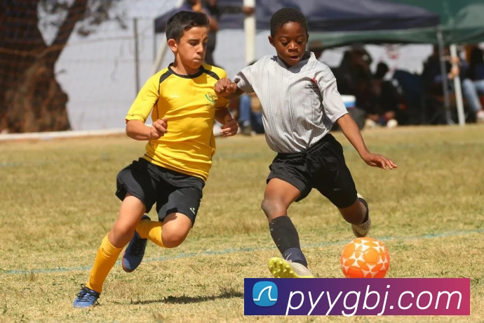 leyu乐鱼官方在线登录入口APP 高清赛事图